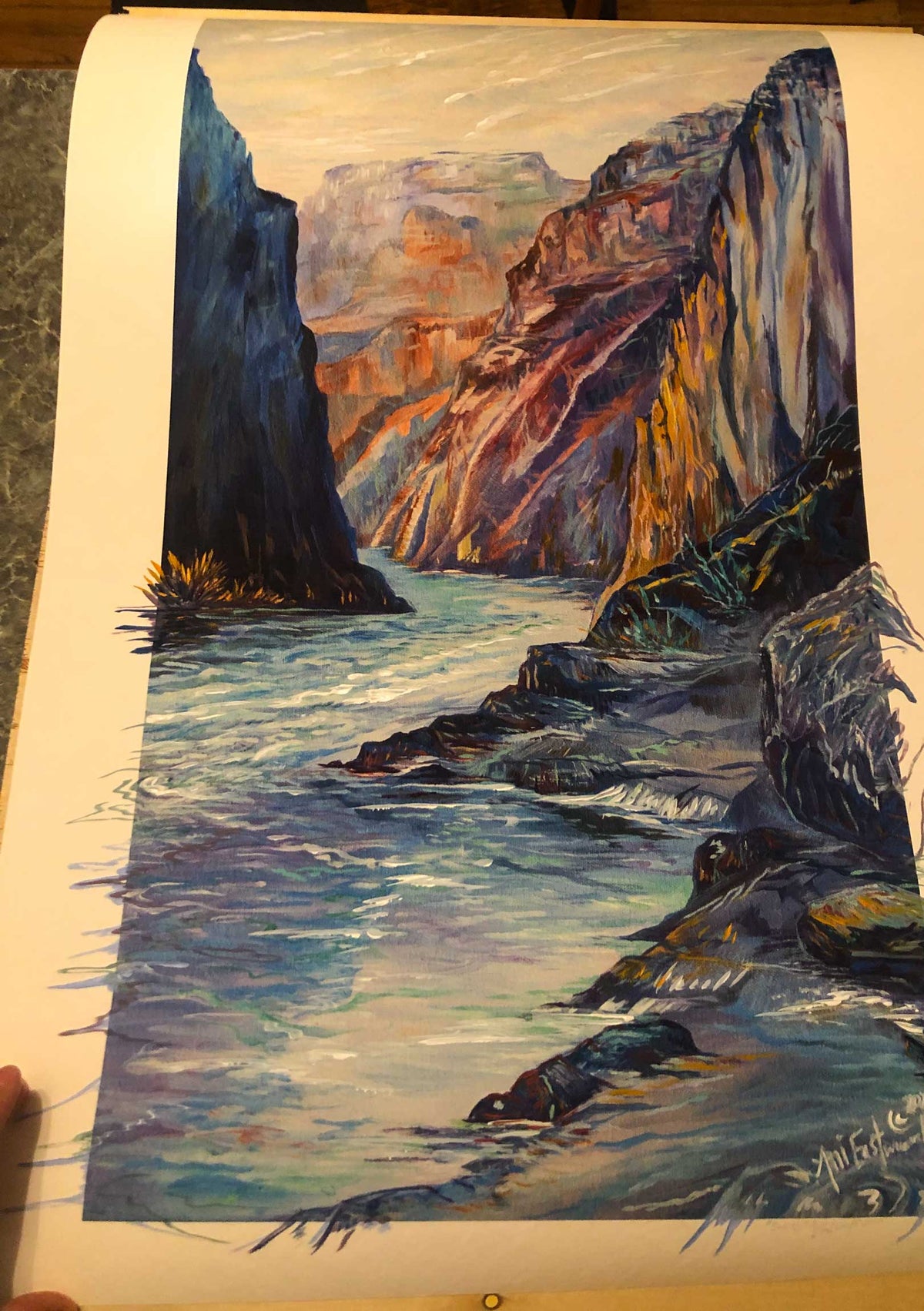 "Schist, Grand Canyon" 2019 Ani Eastwood