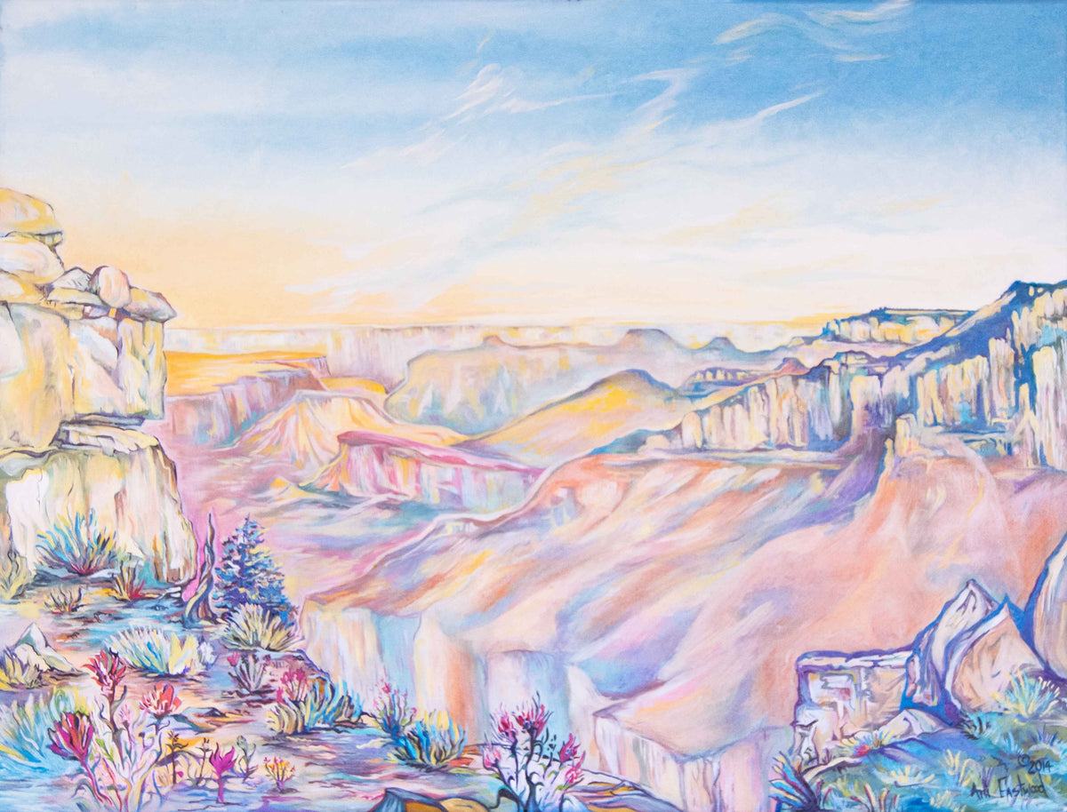 "Saddle Canyon Overlook, Grand Canyon" Ani Eastwood 2012