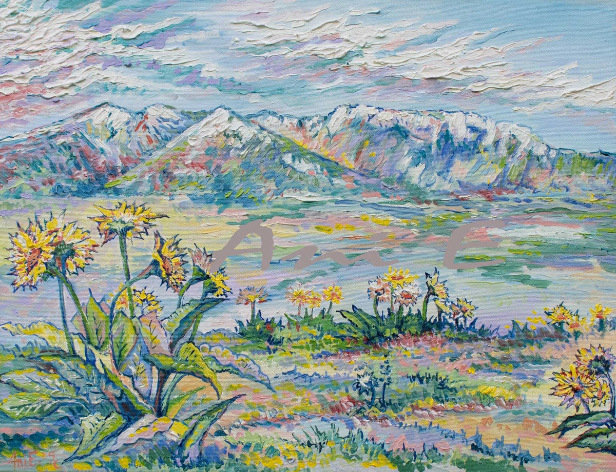 Ani Eastwood - Montana and Mountain Paintings
