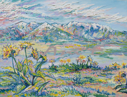 "Balsamroot" 2025 Ani Eastwood (New!)