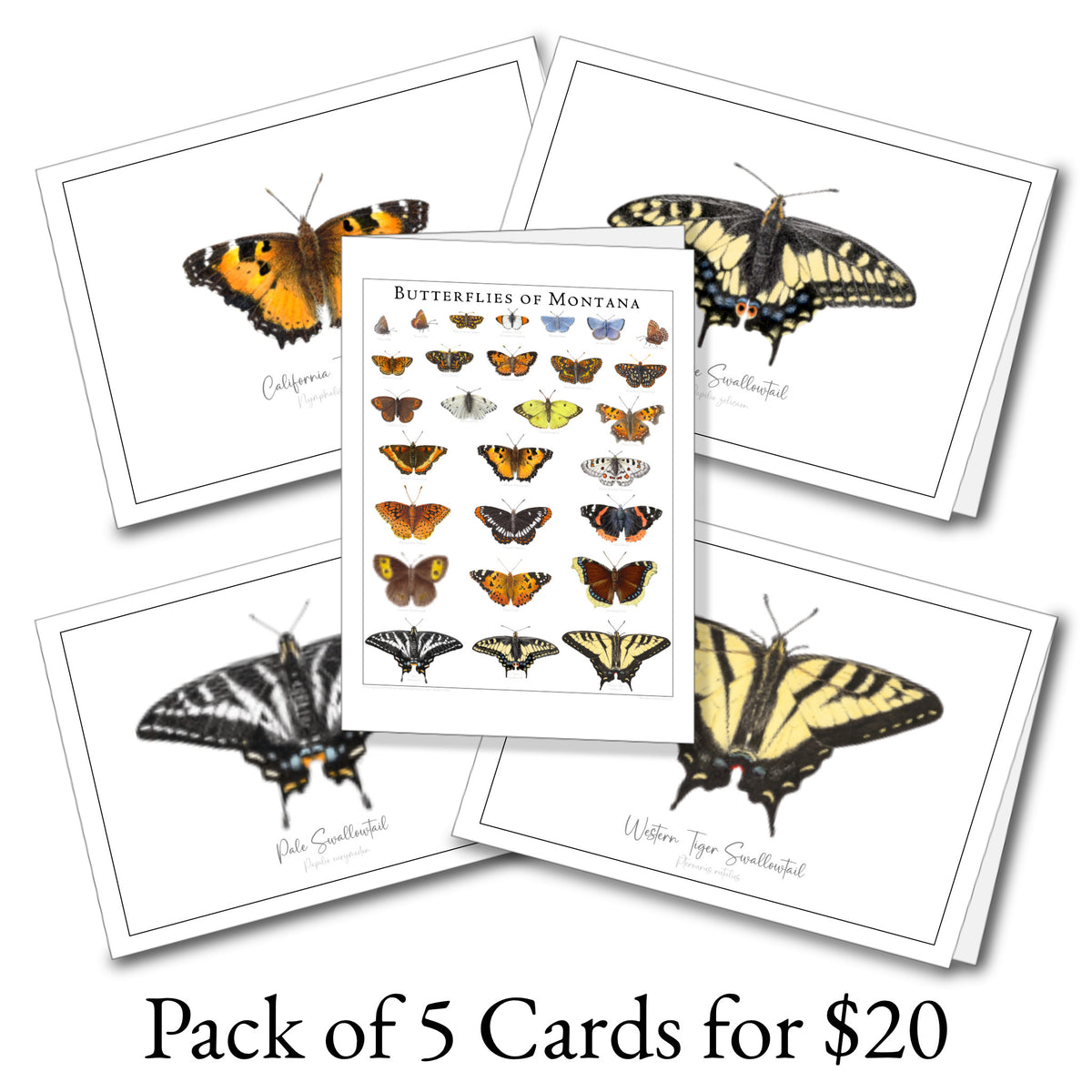 Butterfly Notecards (set of 5)
