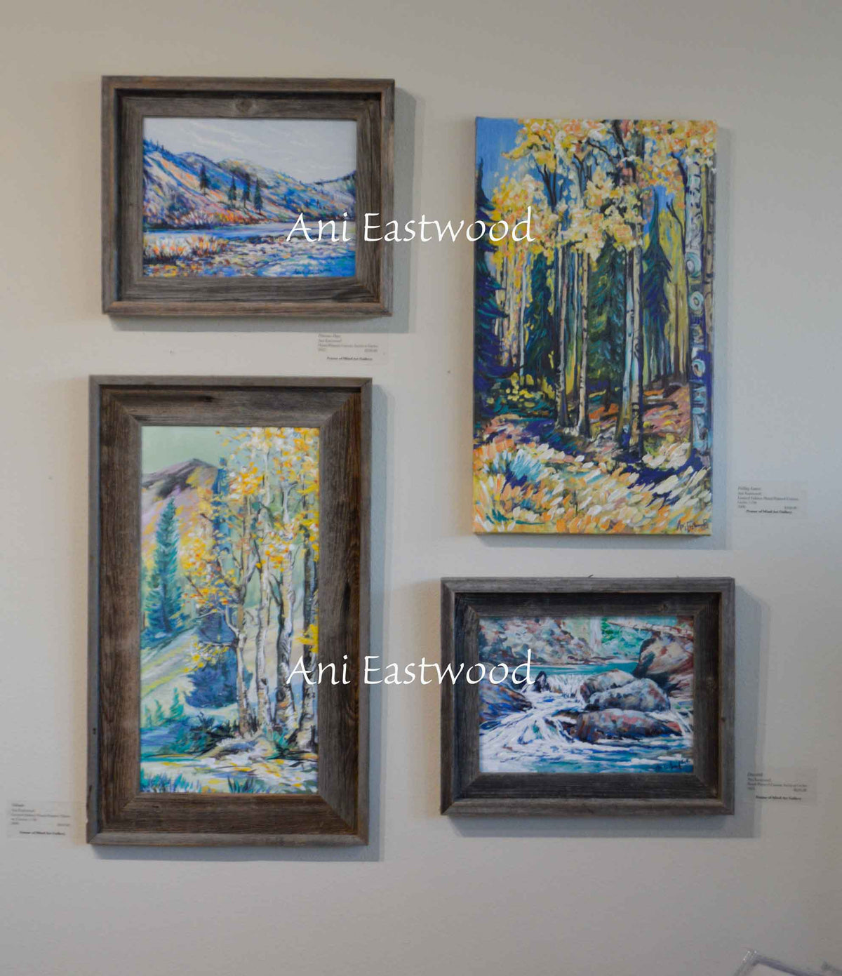 Special 9x12 Handpainted Canvas set of Barnwood Framed Giclees