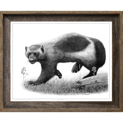 Wolverine