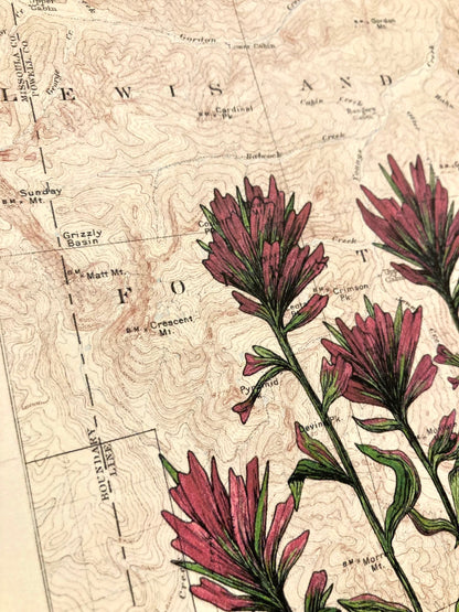 "Paintbrush in Ovando", Anita Mathews