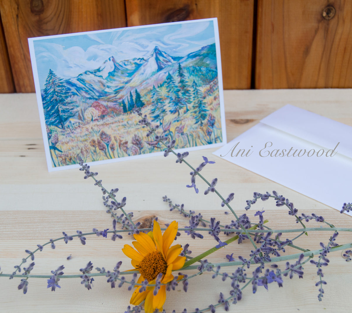 Montana Landscapes Card Assortment Pack, Ani Eastwood