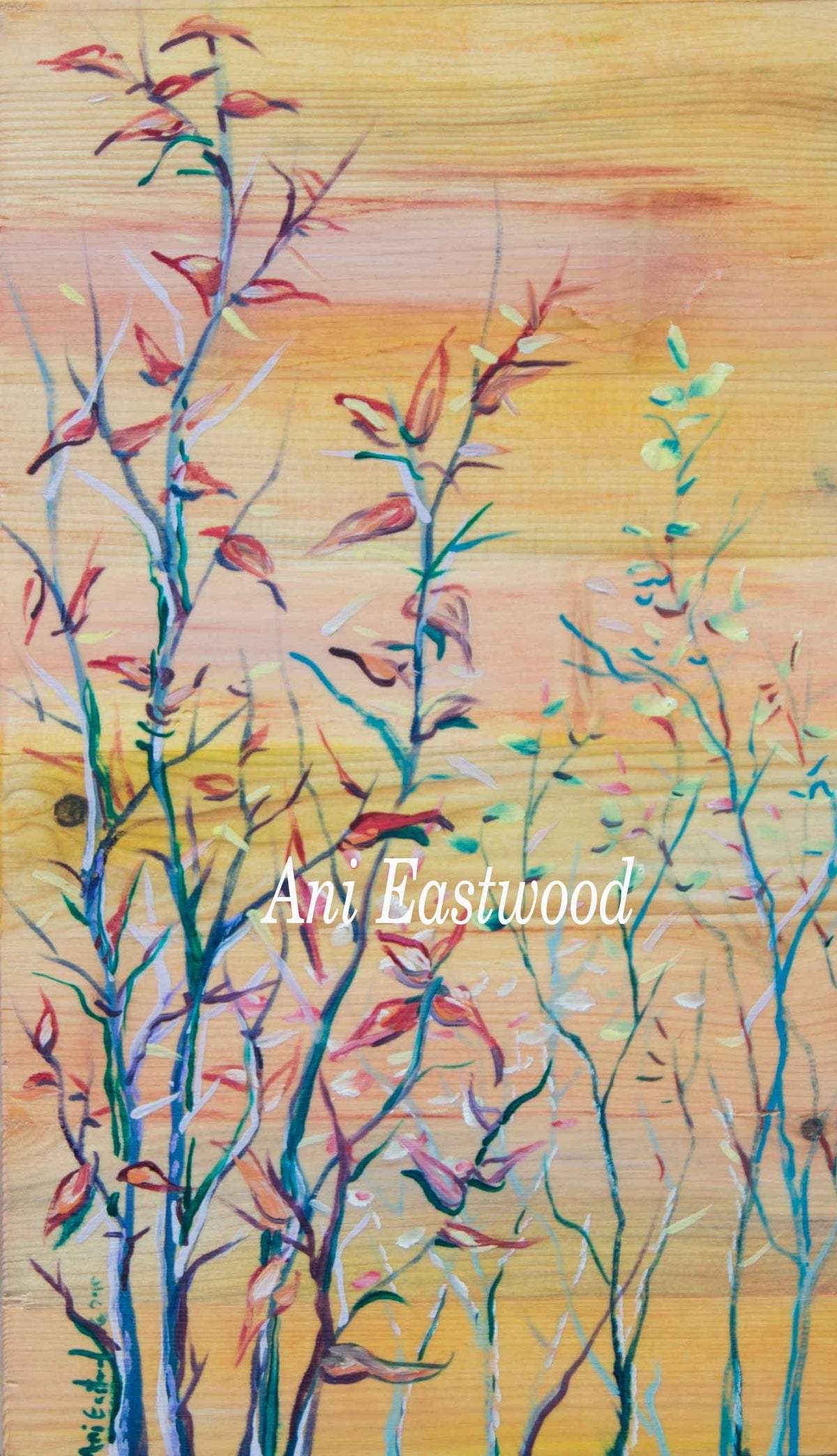 Flowers and Plants Card 6 Pack: Ani Eastwood