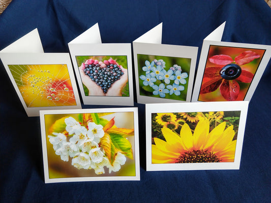 Flora Card Variety