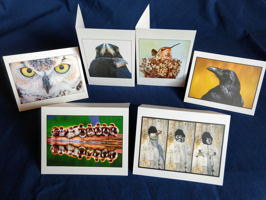 Bird Card Variety