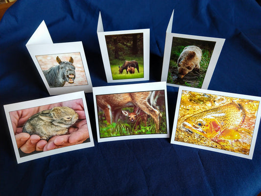 Wildlife Card Variety