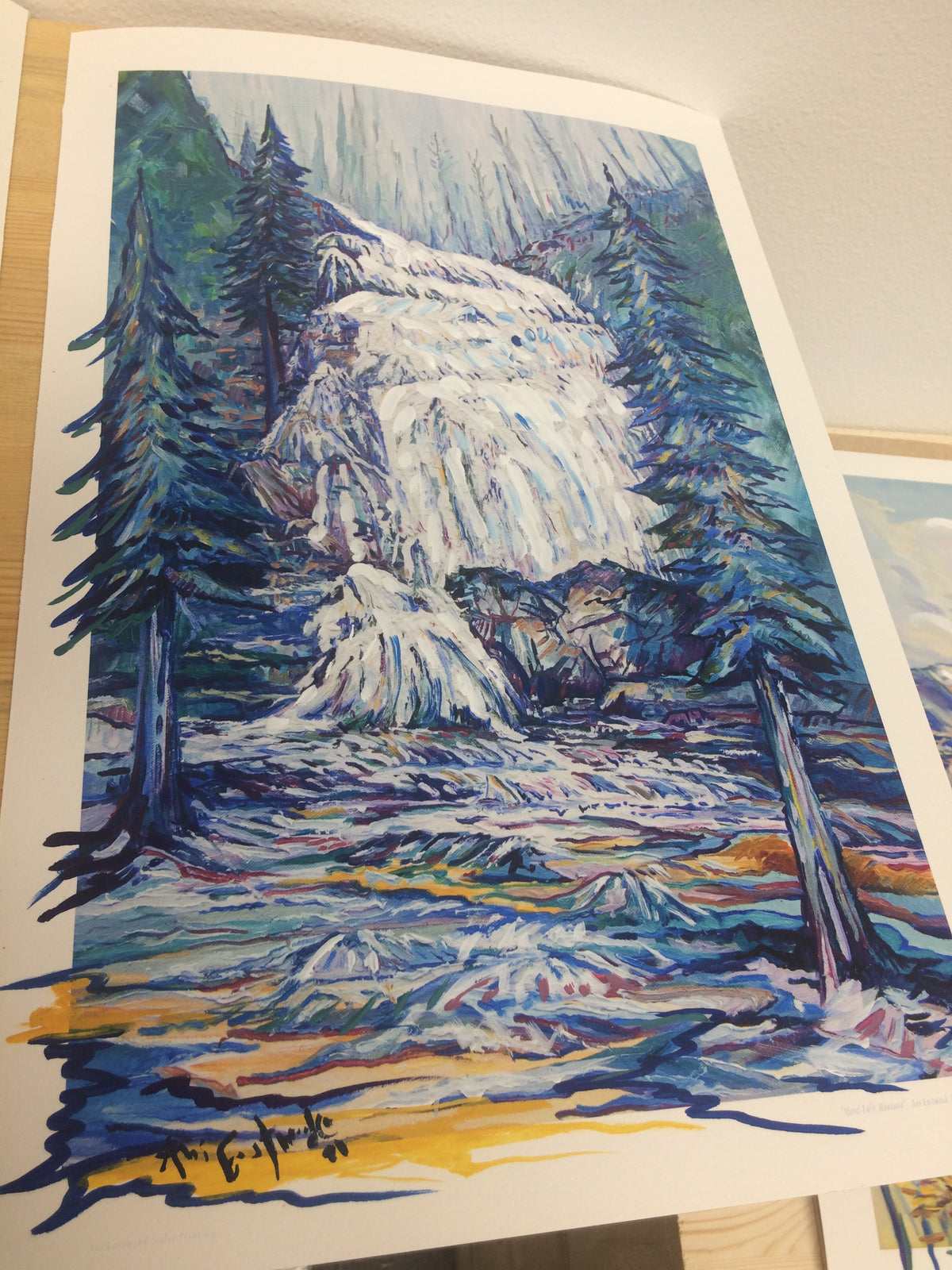 "Morrel Falls, Montana" 2021 Ani Eastwood