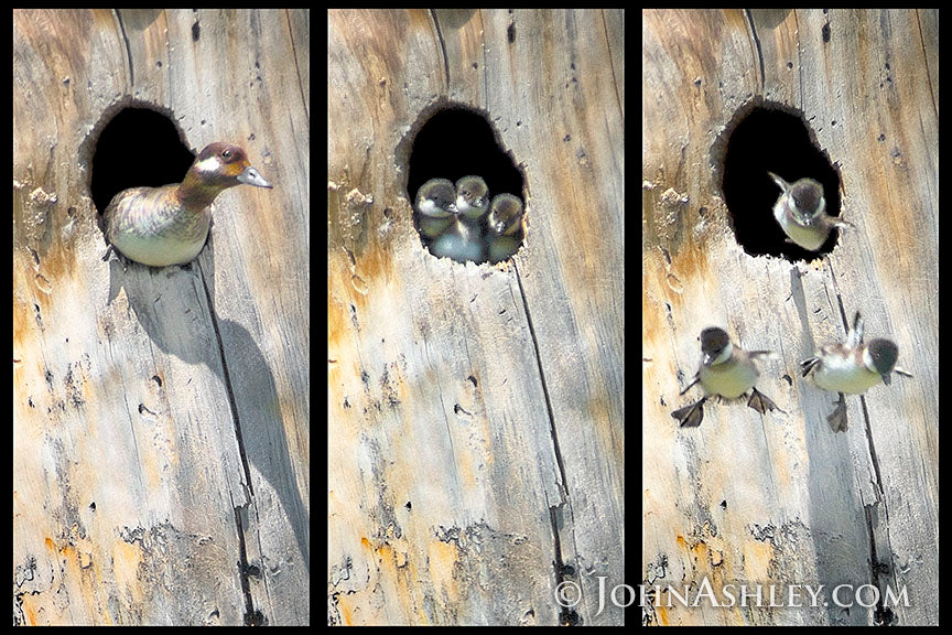 "Leap of Faith"
