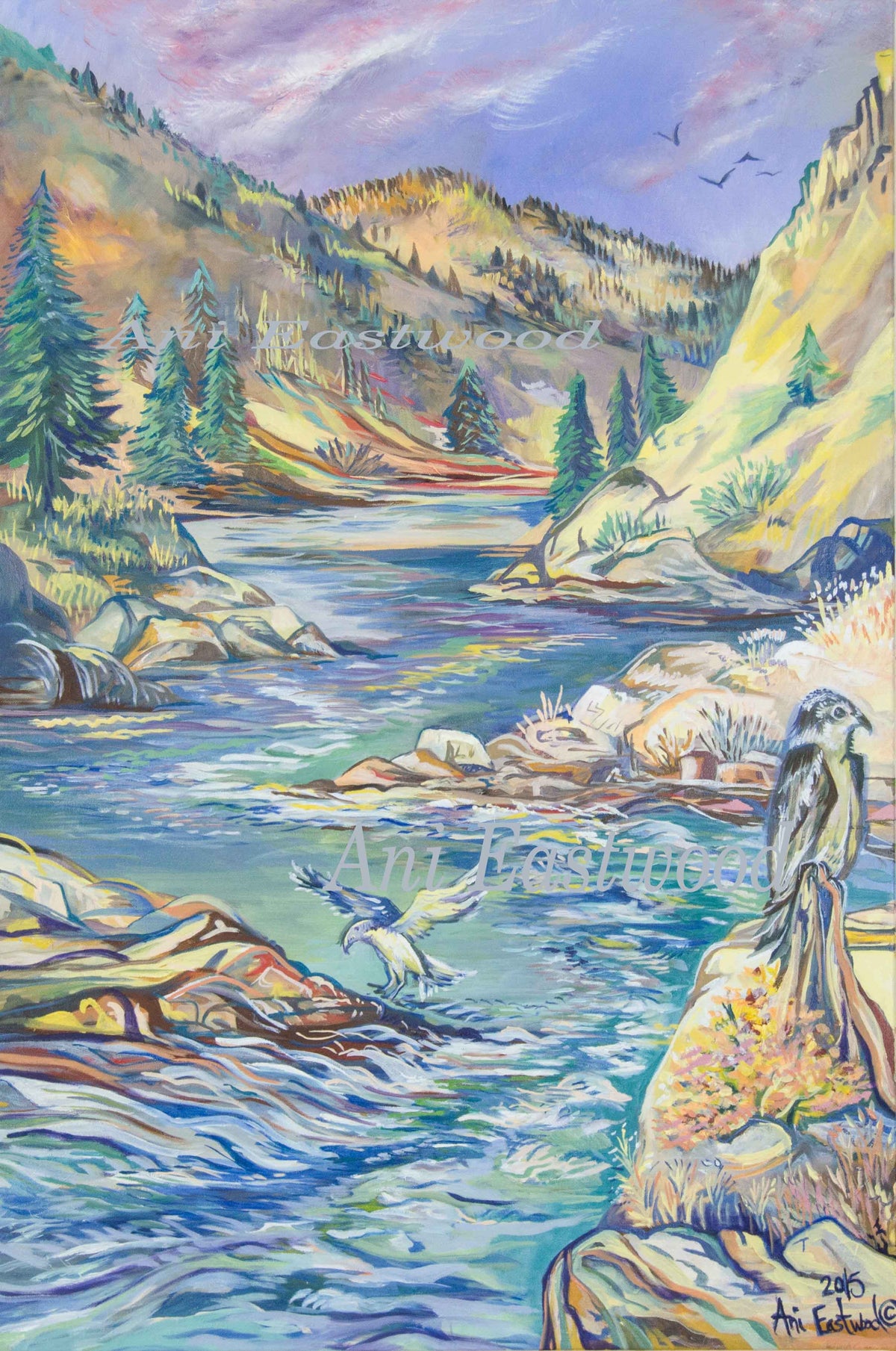 "Fishing Osprey" 2014 Ani Eastwood